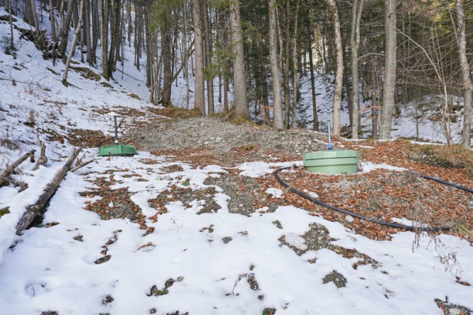 EINZIGARTIG - Rohbau mit Potential auf großem Waldgrundstück mit Quellen - Jenewein Immobilienmanagement