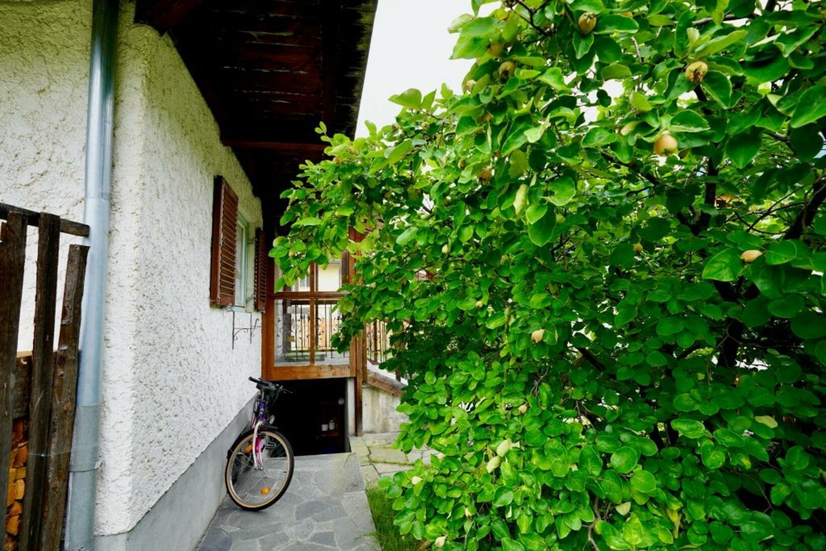 IN DIE JAHRE GEKOMMEN, ABER GEMÜTLICH - Jenewein Immobilienmanagement