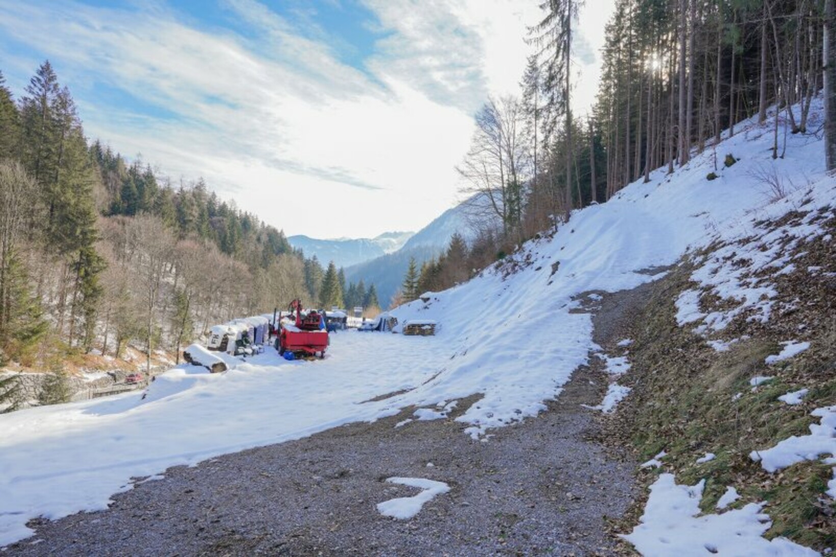 EINZIGARTIG - Rohbau mit Potential auf großem Waldgrundstück mit Quellen - Jenewein Immobilienmanagement